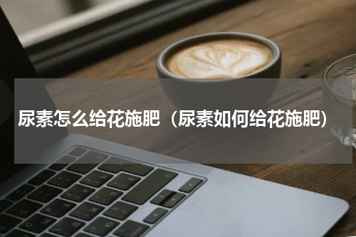 尿素怎么给花施肥（尿素如何给花施肥）
