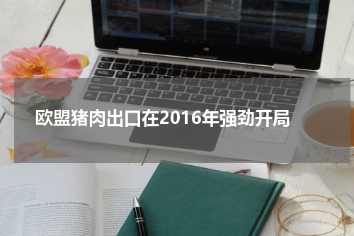 欧盟猪肉出口在2016年强劲开局