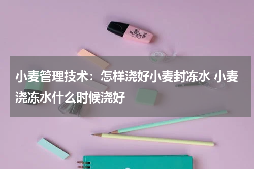 小麦管理技术：怎样浇好小麦封冻水 小麦浇冻水什么时候浇好