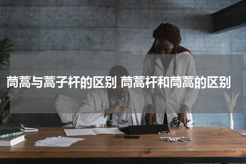 茼蒿与蒿子杆的区别 茼蒿杆和茼蒿的区别