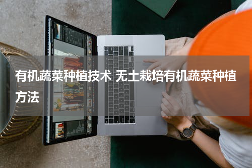 有机蔬菜种植技术 无土栽培有机蔬菜种植方法