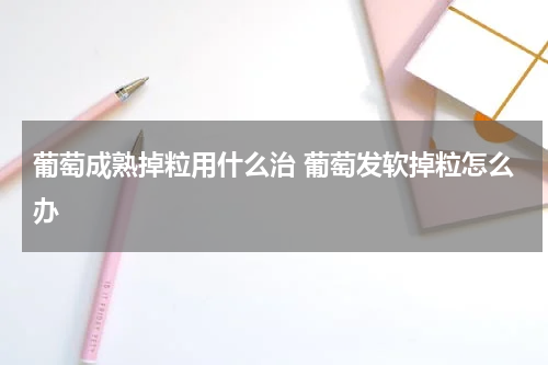 葡萄成熟掉粒用什么治 葡萄发软掉粒怎么办