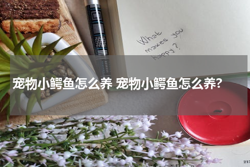 宠物小鳄鱼怎么养 宠物小鳄鱼怎么养?