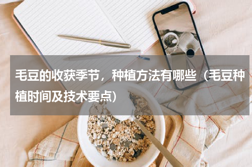 毛豆的收获季节，种植方法有哪些（毛豆种植时间及技术要点）