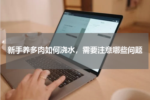 新手养多肉如何浇水，需要注意哪些问题