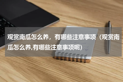 观赏南瓜怎么养，有哪些注意事项（观赏南瓜怎么养,有哪些注意事项呢）