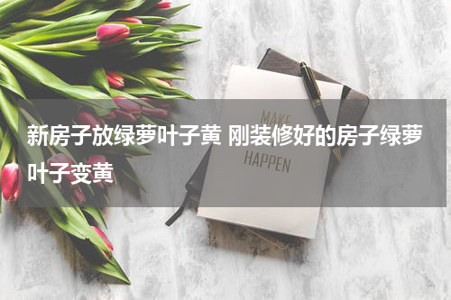 新房子放绿萝叶子黄 刚装修好的房子绿萝叶子变黄