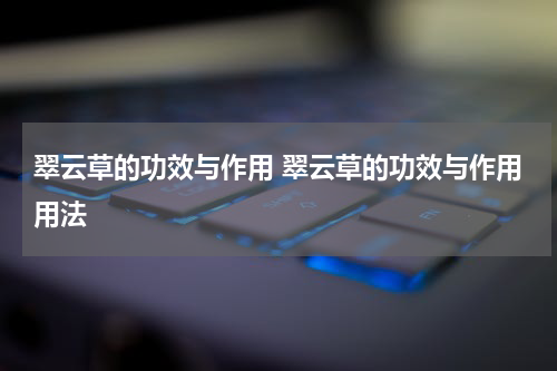 翠云草的功效与作用 翠云草的功效与作用用法