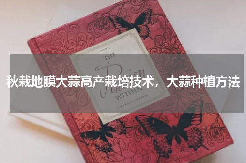 秋栽地膜大蒜高产栽培技术，大蒜种植方法