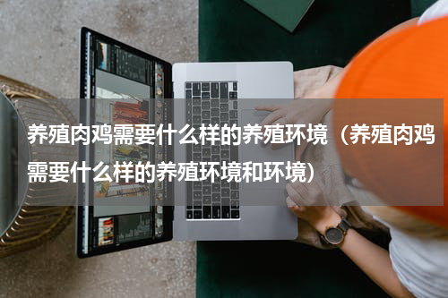 养殖肉鸡需要什么样的养殖环境（养殖肉鸡需要什么样的养殖环境和环境）