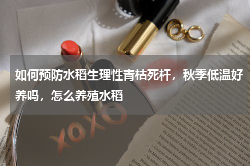 如何预防水稻生理性青枯死杆，秋季低温好养吗，怎么养殖水稻