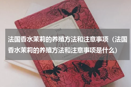 法国香水茉莉的养殖方法和注意事项（法国香水茉莉的养殖方法和注意事项是什么）