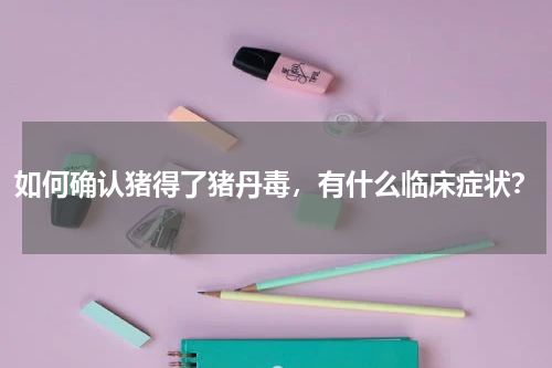 如何确认猪得了猪丹毒，有什么临床症状？