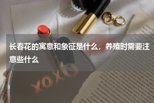 长春花的寓意和象征是什么，养殖时需要注意些什么