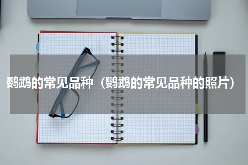 鹦鹉的常见品种（鹦鹉的常见品种的照片）