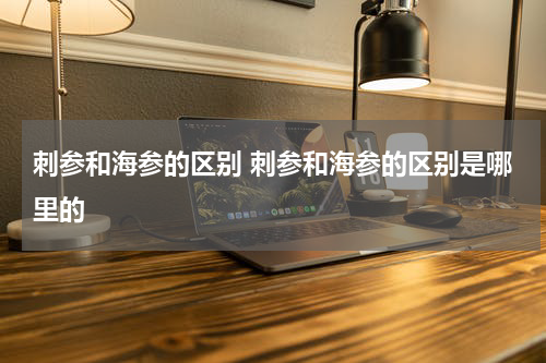 刺参和海参的区别 刺参和海参的区别是哪里的