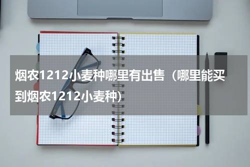 烟农1212小麦种哪里有出售（哪里能买到烟农1212小麦种）