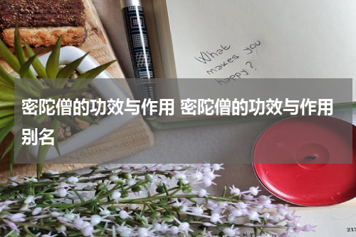 密陀僧的功效与作用 密陀僧的功效与作用别名
