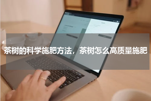 茶树的科学施肥方法，茶树怎么高质量施肥