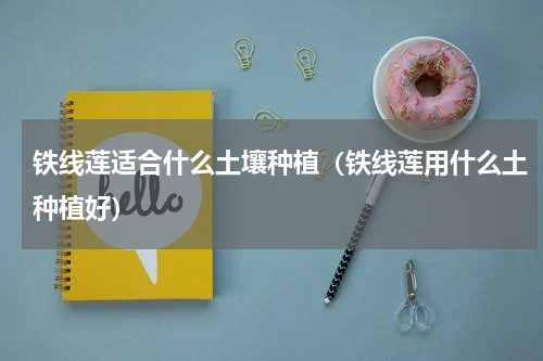 铁线莲适合什么土壤种植（铁线莲用什么土种植好）