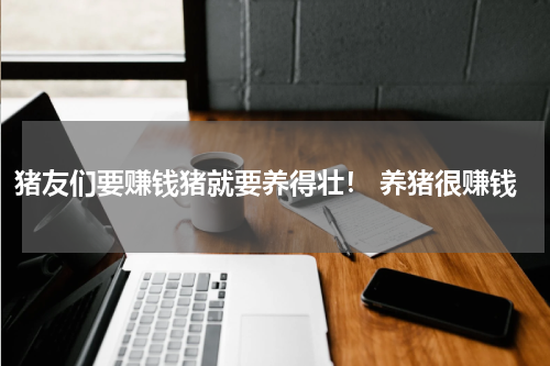 猪友们要赚钱猪就要养得壮！ 养猪很赚钱