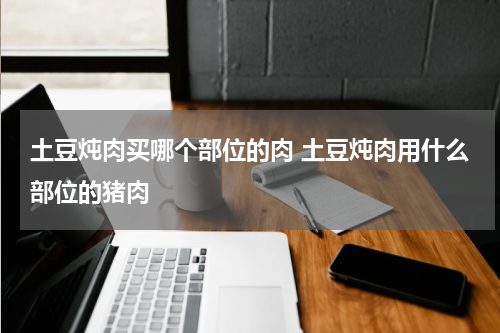 土豆炖肉买哪个部位的肉 土豆炖肉用什么部位的猪肉