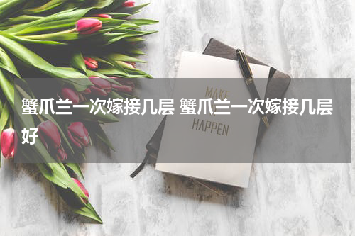 蟹爪兰一次嫁接几层 蟹爪兰一次嫁接几层好