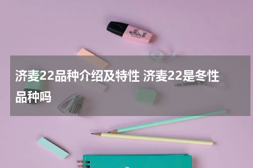 济麦22品种介绍及特性 济麦22是冬性品种吗
