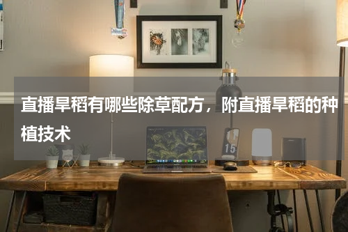 直播旱稻有哪些除草配方，附直播旱稻的种植技术