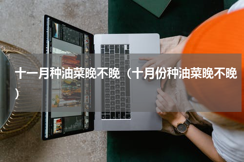 十一月种油菜晚不晚（十月份种油菜晚不晚）