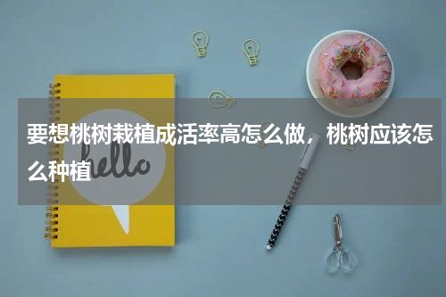 要想桃树栽植成活率高怎么做，桃树应该怎么种植