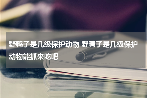 野鸭子是几级保护动物 野鸭子是几级保护动物能抓来吃吧
