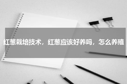 红葱栽培技术，红葱应该好养吗，怎么养殖