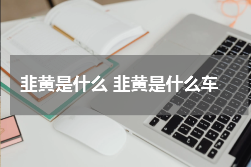 韭黄是什么 韭黄是什么车