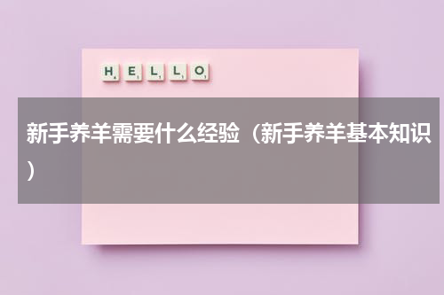 新手养羊需要什么经验（新手养羊基本知识）