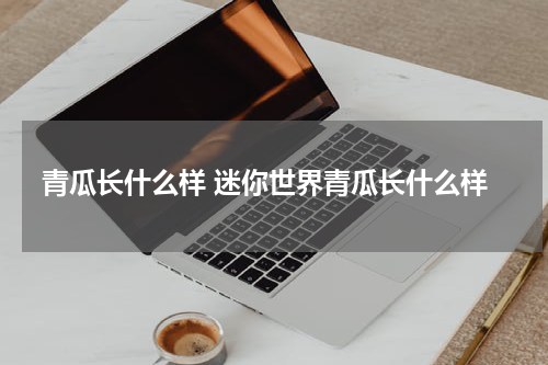 青瓜长什么样 迷你世界青瓜长什么样