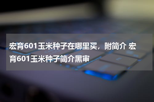 宏育601玉米种子在哪里买，附简介 宏育601玉米种子简介黑审