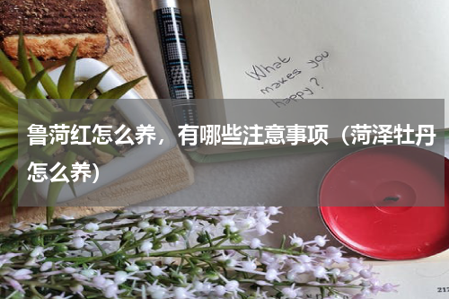鲁菏红怎么养，有哪些注意事项（菏泽牡丹怎么养）
