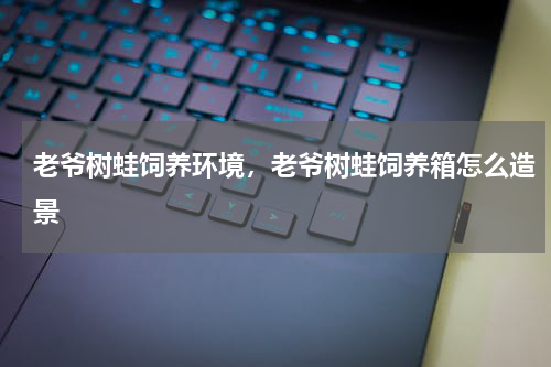 老爷树蛙饲养环境，老爷树蛙饲养箱怎么造景