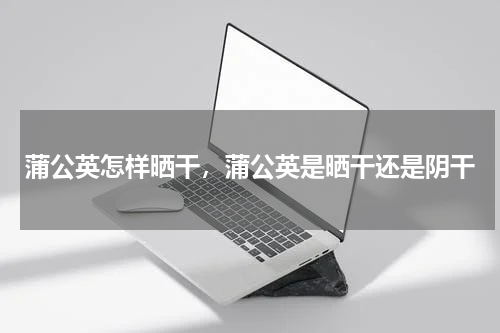 蒲公英怎样晒干，蒲公英是晒干还是阴干