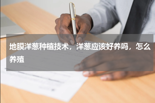 地膜洋葱种植技术，洋葱应该好养吗，怎么养殖