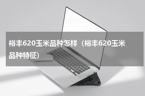 裕丰620玉米品种怎样（裕丰620玉米品种特征）