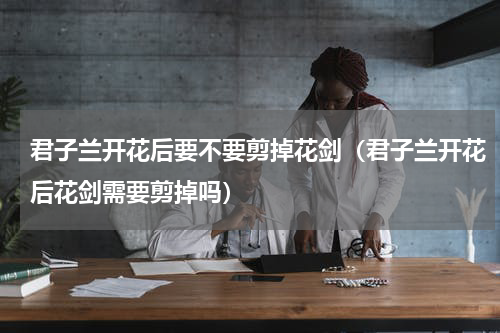 君子兰开花后要不要剪掉花剑（君子兰开花后花剑需要剪掉吗）