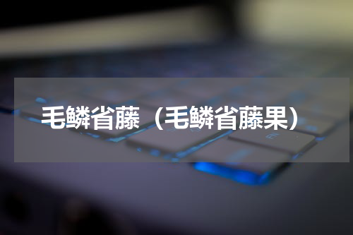 毛鳞省藤（毛鳞省藤果）