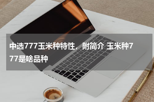 中选777玉米种特性，附简介 玉米种777是啥品种