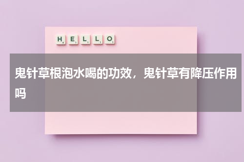 鬼针草根泡水喝的功效，鬼针草有降压作用吗