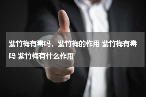 紫竹梅有毒吗，紫竹梅的作用 紫竹梅有毒吗 紫竹梅有什么作用