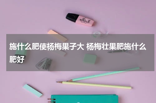 施什么肥使杨梅果子大 杨梅壮果肥施什么肥好