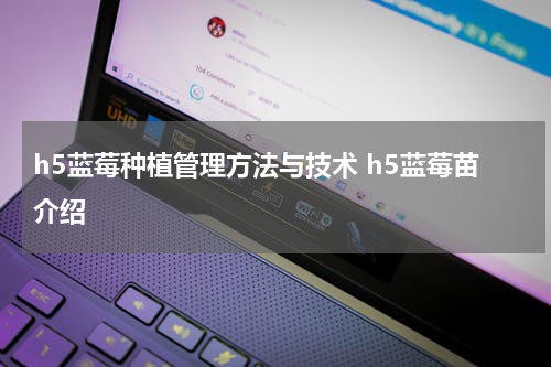h5蓝莓种植管理方法与技术 h5蓝莓苗介绍