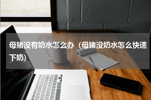 母猪没有奶水怎么办（母猪没奶水怎么快速下奶）